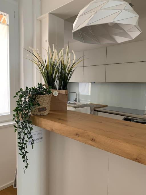 Interno4Home: In Centro Storico Con Posto Auto Ферара Екстериор снимка