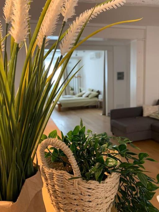 Interno4Home: In Centro Storico Con Posto Auto Ферара Екстериор снимка